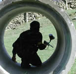 customised paintball